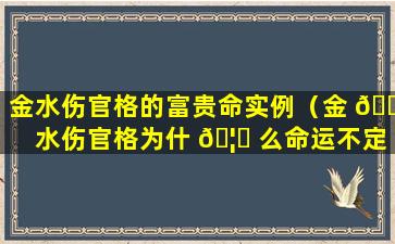 金水伤官格的富贵命实例（金 🌾 水伤官格为什 🦋 么命运不定）